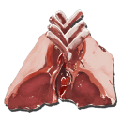 方舟生羊肉
