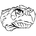 方舟淡水碳龟