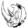 方舟披毛犀
