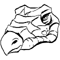 方舟剑龙