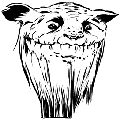 方舟嘎查