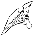 方舟无齿翼龙
