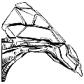方舟执行者