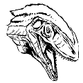 方舟畸变斑龙
