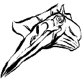 方舟风神翼龙