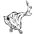 方舟蜣螂