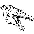 方舟畸变棘背龙
