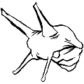 方舟玛瑙螺