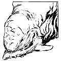 方舟沙漠泰坦